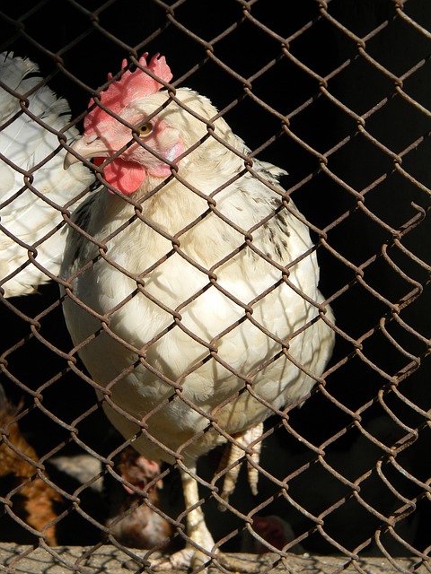 陈梦谈被网暴：最严重时站赛场上会害怕FM1007福建交通广播.